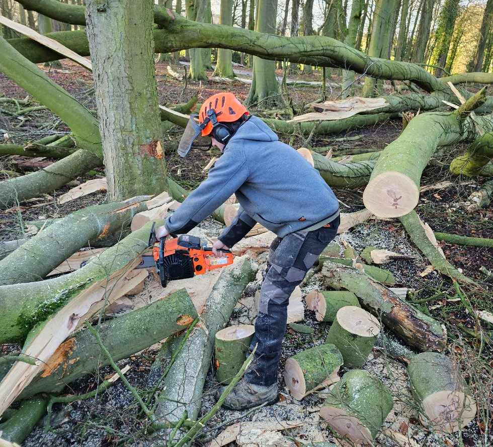 PCS-4500 Petrol Chainsaw: 16" All Rounder Chainsaw