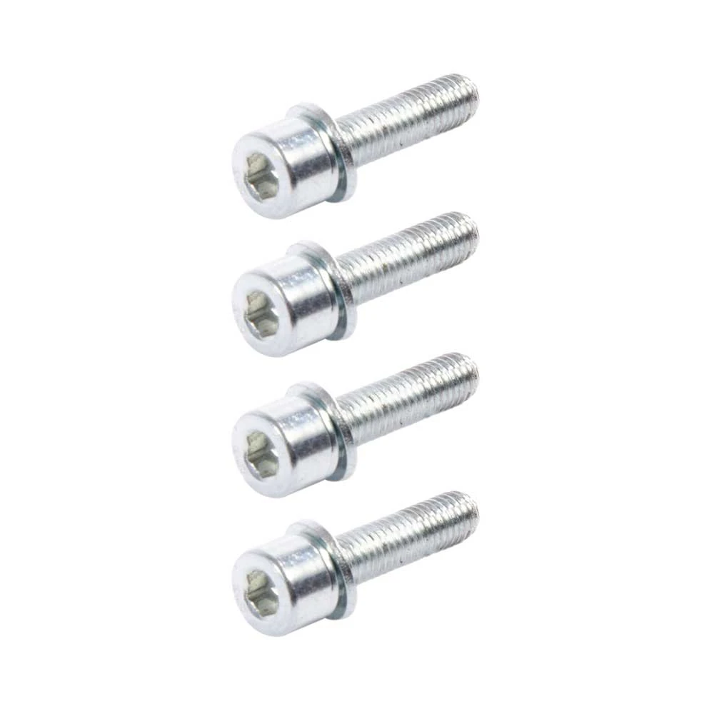 M5 20mm Screw (4 Pack)